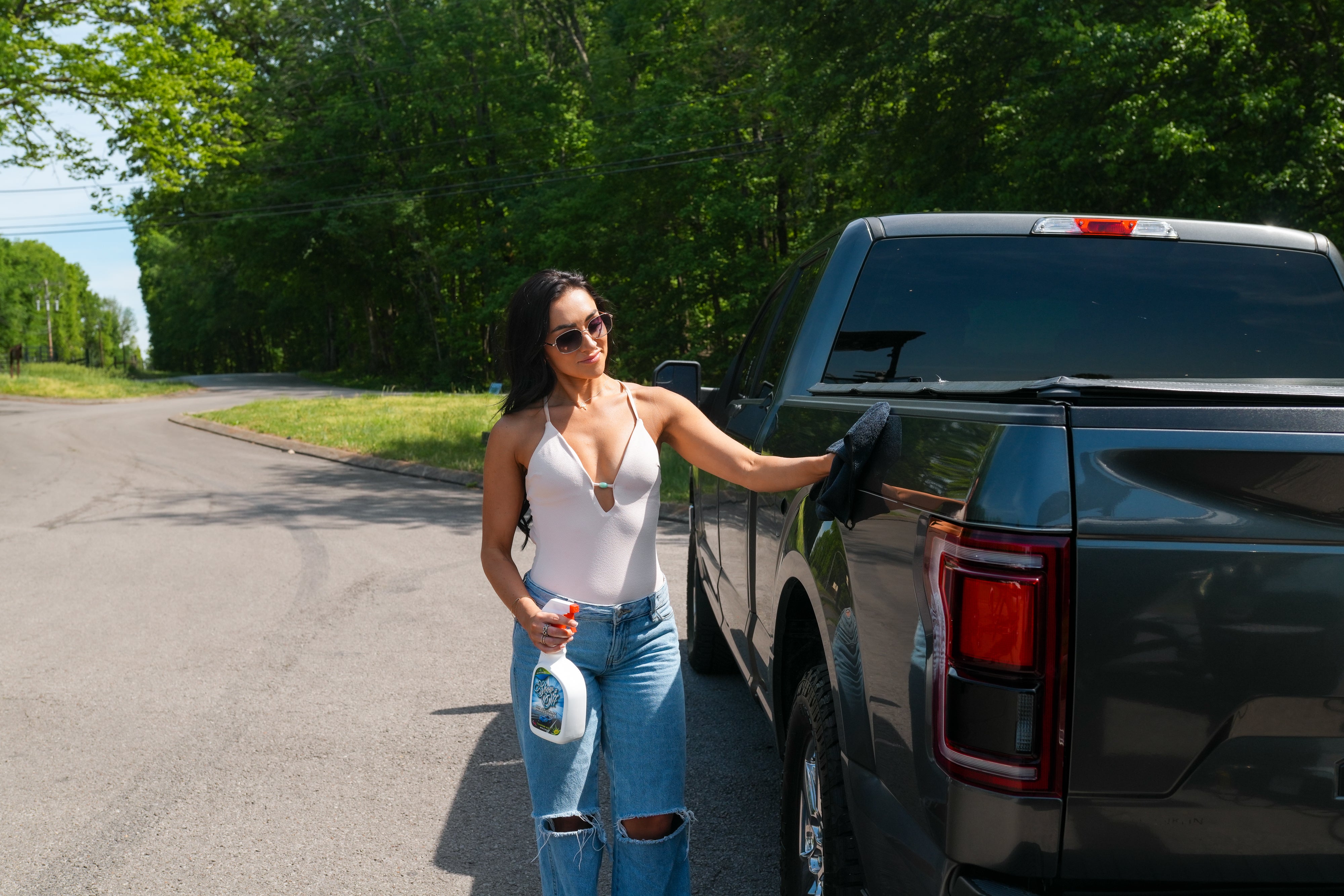 Show It Off Auto Cleaner
